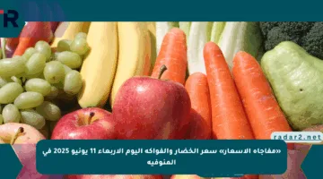 «مفاجأة الأسعار» سعر الخضار والفواكه اليوم الاربعاء 11 يونيو 2025 في المنوفية